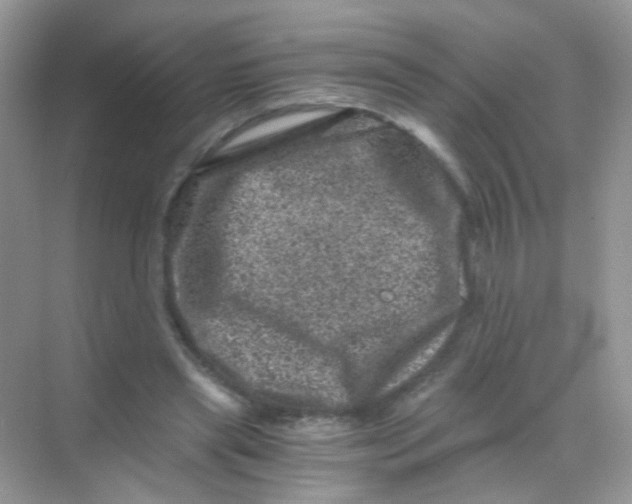 X0000068280445200605121916