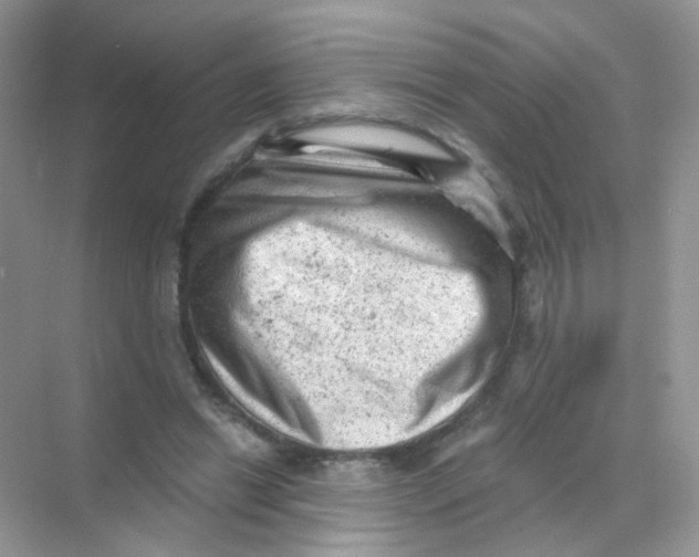 X0000068280446200605121916