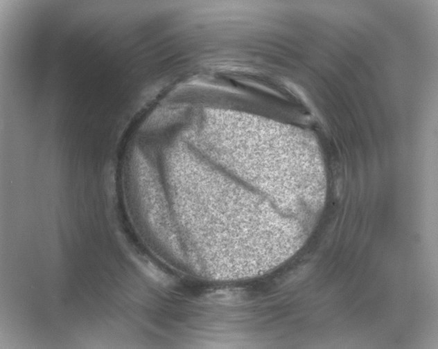 X0000068280447200605121916