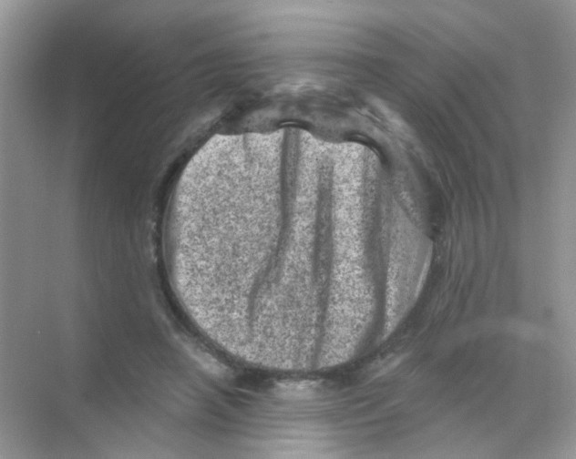 X0000068280450200605121916