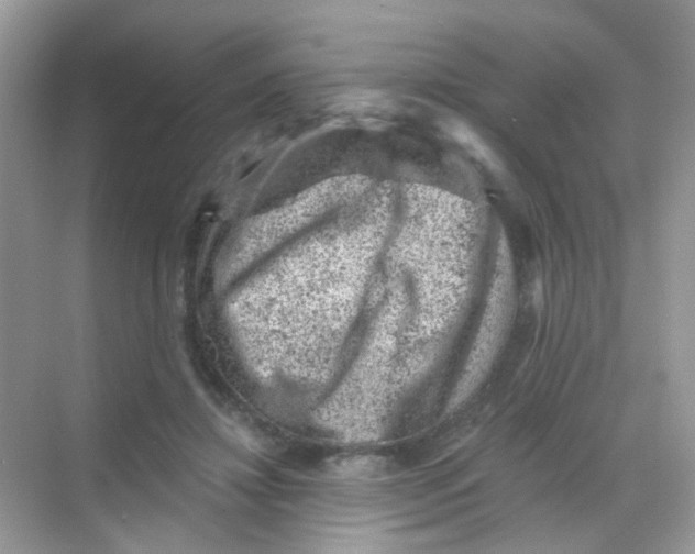 X0000068280452200605121916