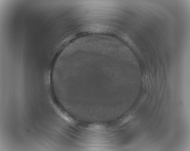 X0000068280454200605121916