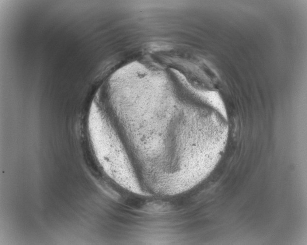 X0000068280455200605121916