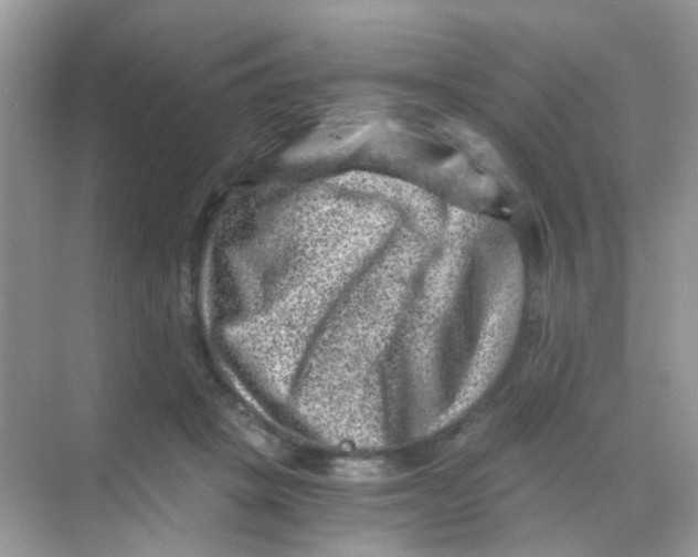 X0000068280457200605121916