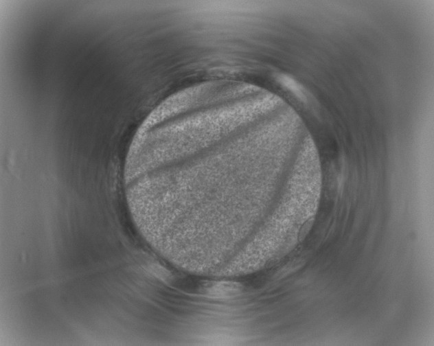 X0000068280463200605121916