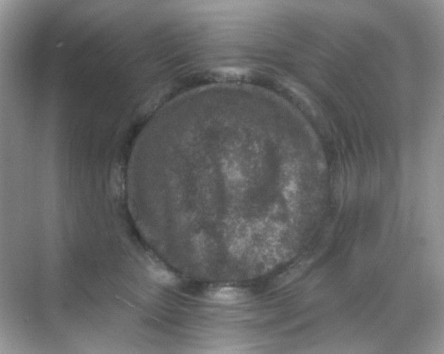 X0000068280467200605121916