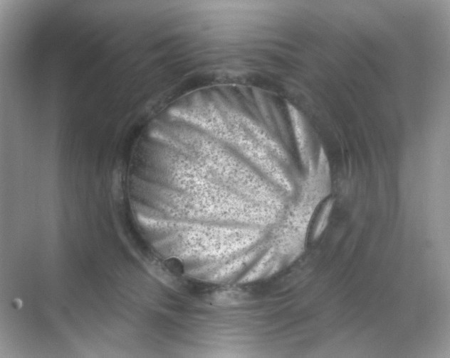 X0000068280468200605121916