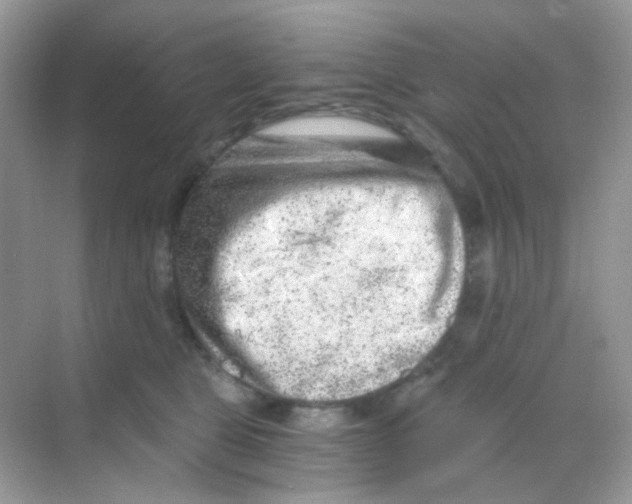 X0000068280469200605121916