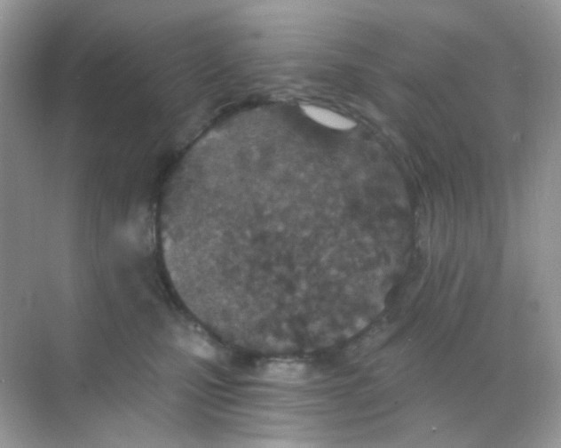 X0000068280471200605121917