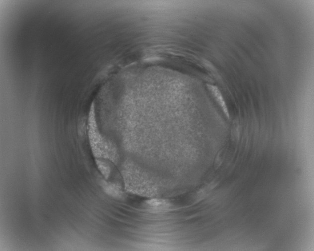 X0000068280477200605121917