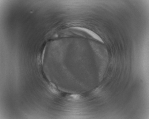 X0000068280478200605121917