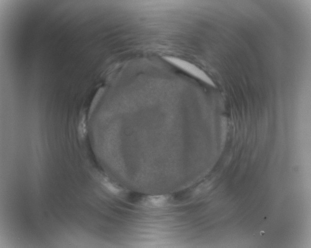 X0000068280479200605121917