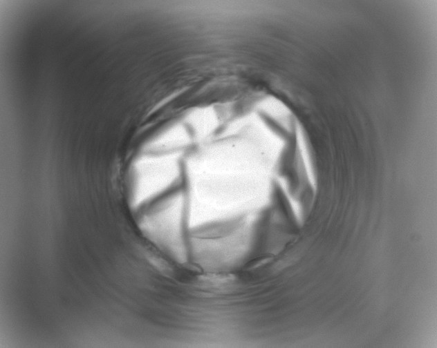 X0000068280480200605121917