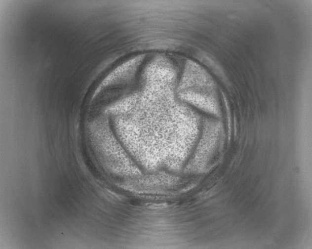 X0000068280483200605121916