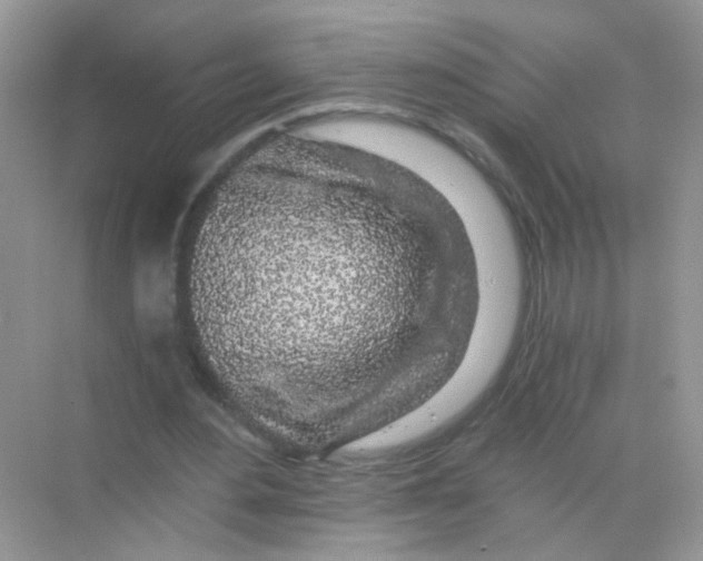 X0000068280484200605121916