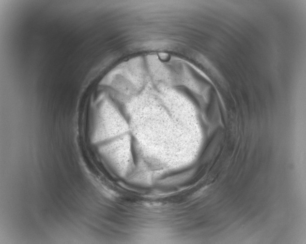 X0000068280486200605121916