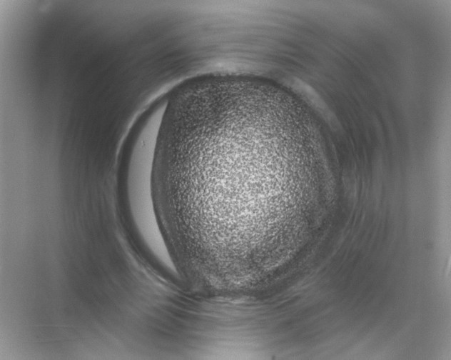 X0000068280488200605121916