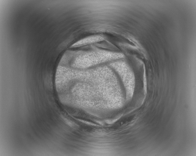 X0000068280489200605121916