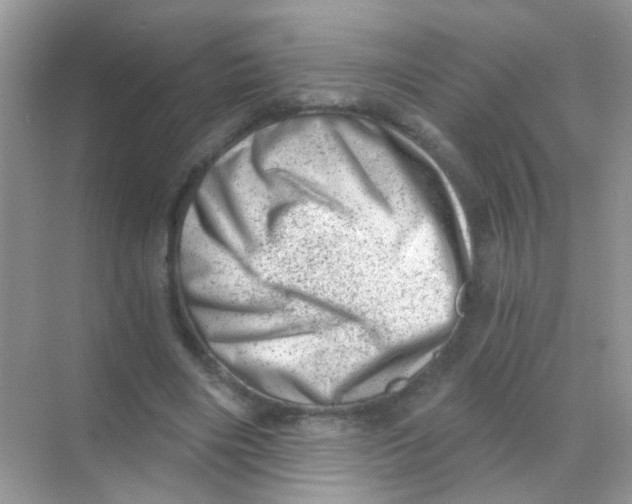 X0000068280490200605121916