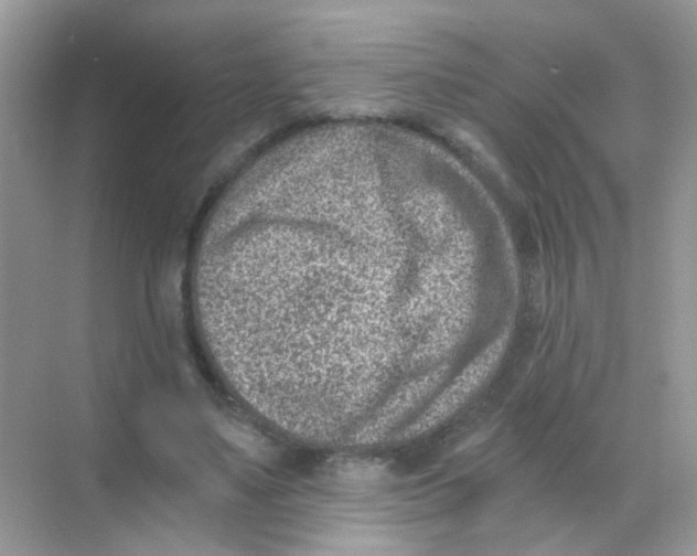 X0000068280491200605121916