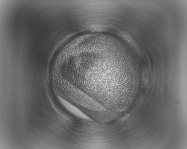 X0000068280492200605121916