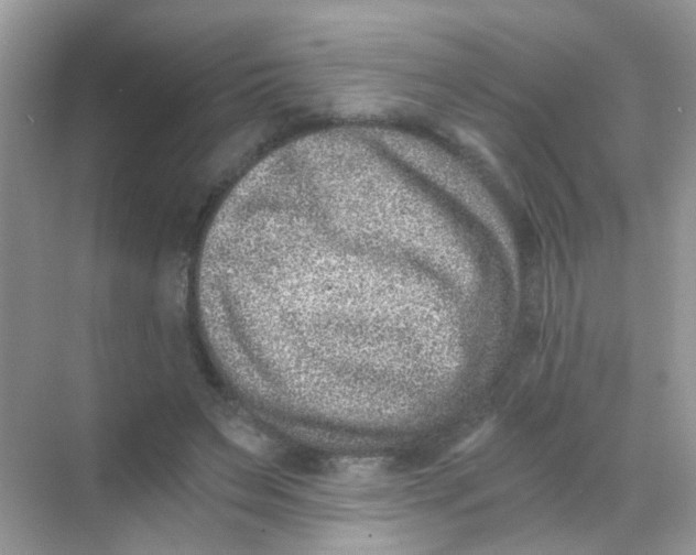 X0000068280495200605121916