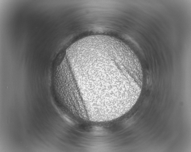 X0000068280496200605121916