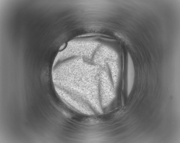 X0000068280498200605121916