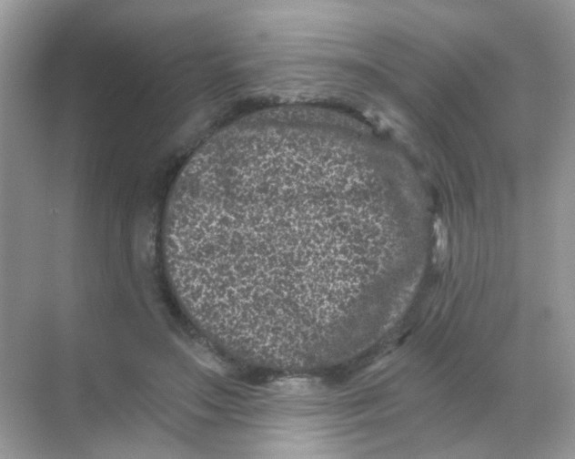 X0000068280499200605121916