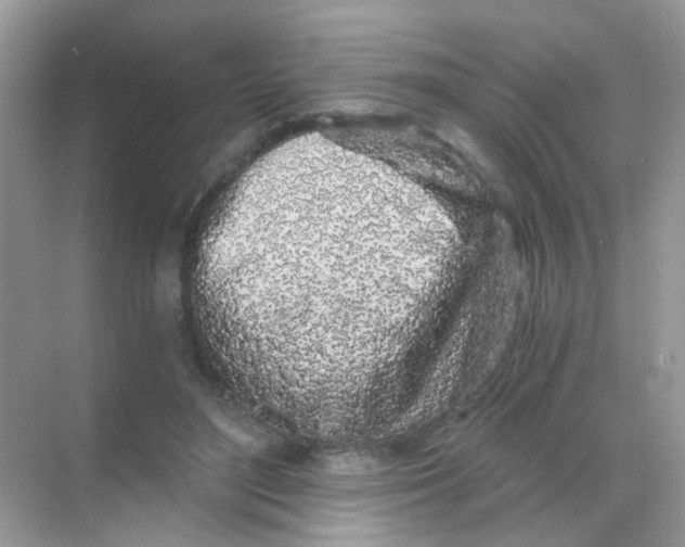 X0000068280500200605121916