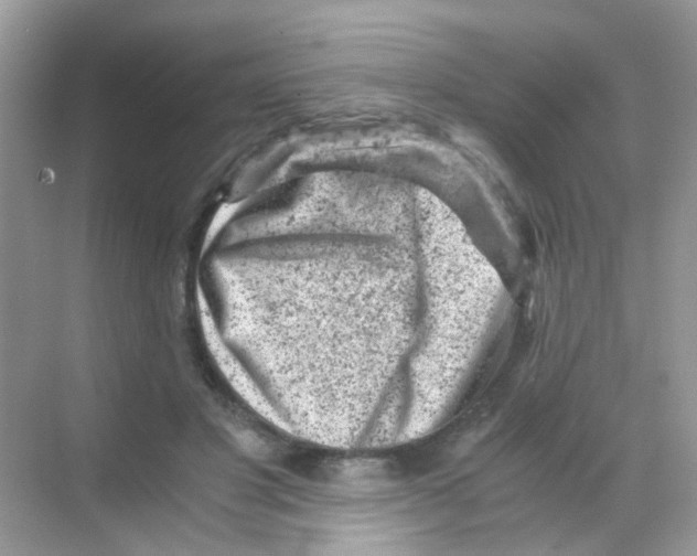 X0000068280501200605121916