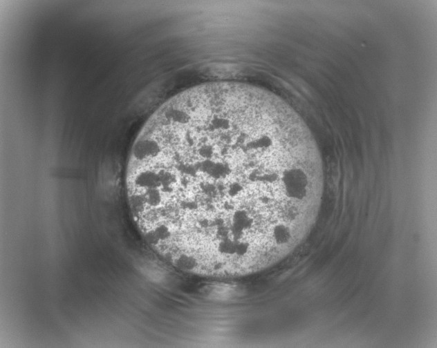 X0000068280507200605121915