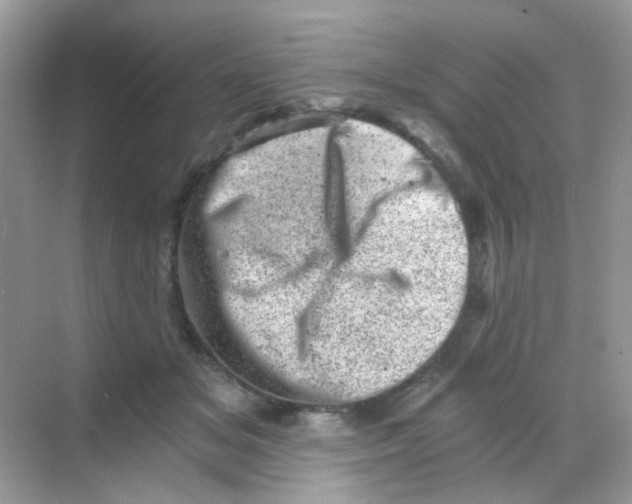 X0000068280509200605121915