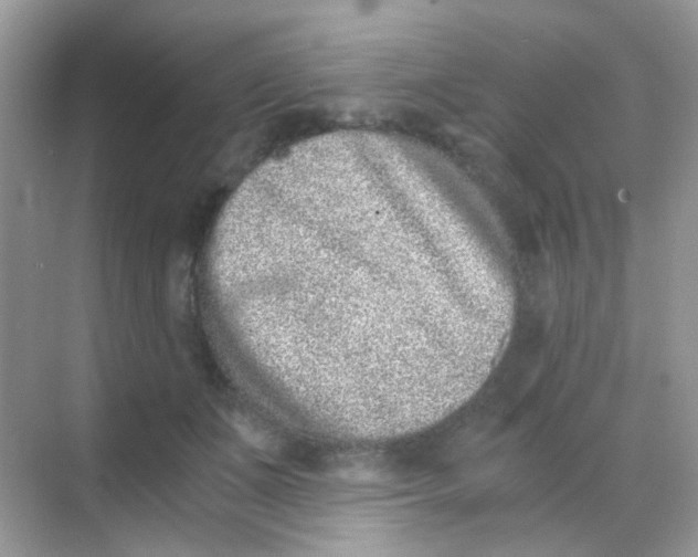 X0000068280511200605121915