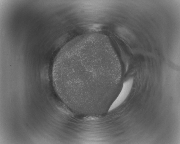 X0000068280512200605121915