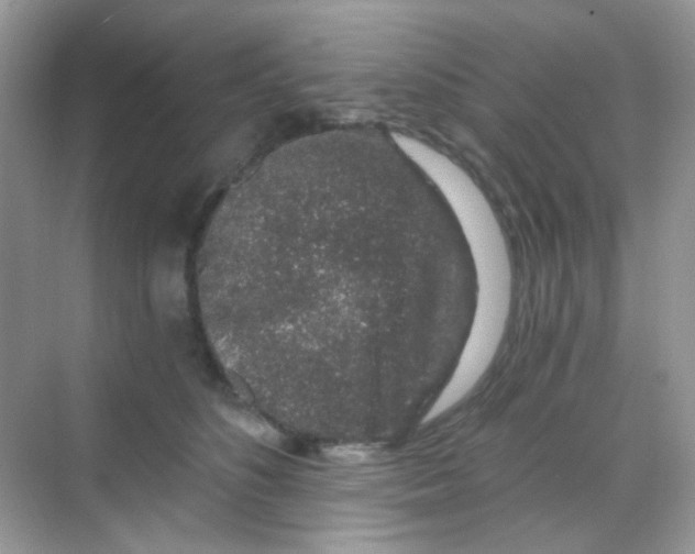 X0000068280516200605121915