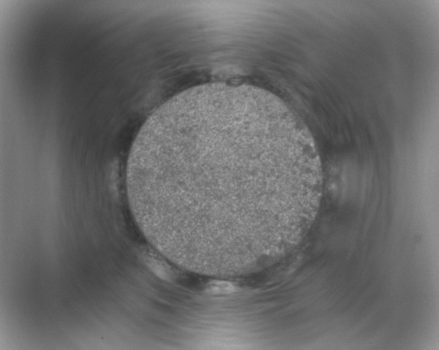 X0000068280519200605121915