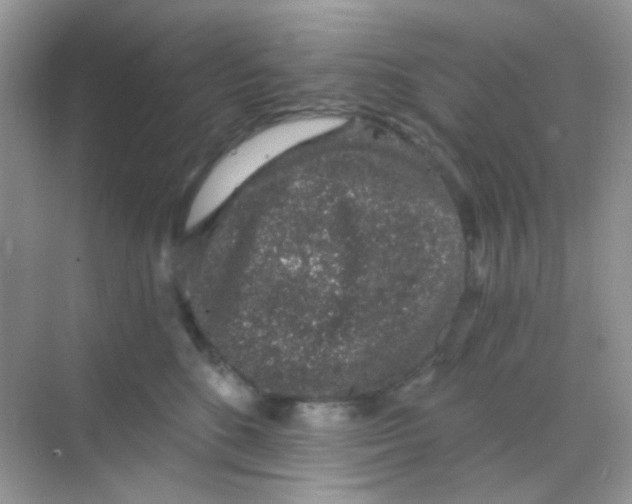 X0000068280520200605121915