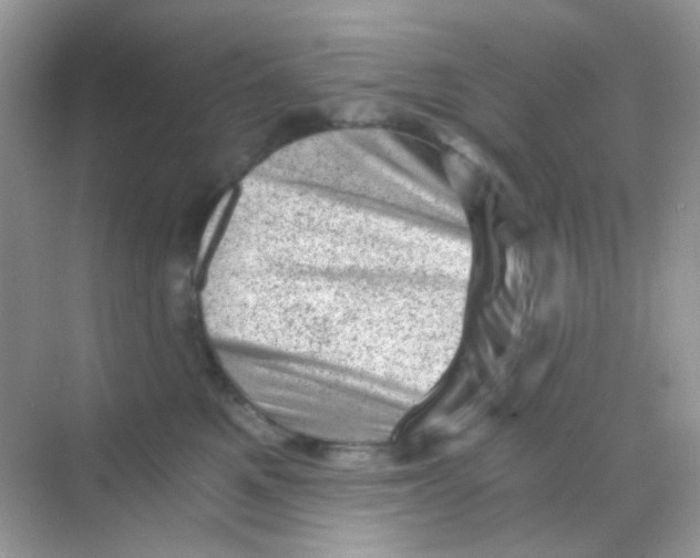 X0000068280521200605121915