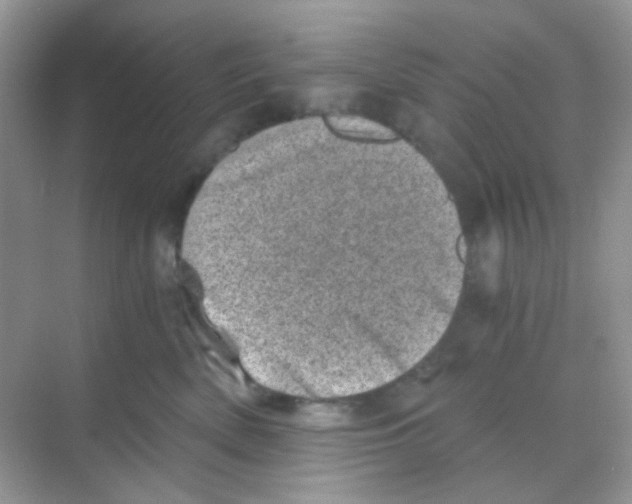 X0000068280522200605121915