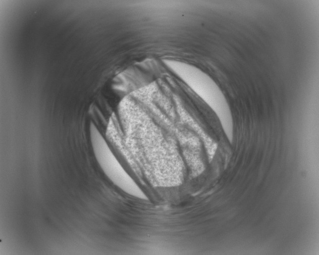 X0000068280524200605121915