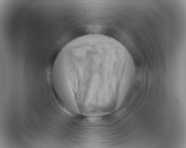 X0000068280526200605121915