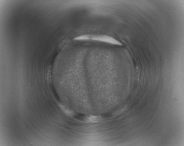 X0000068280527200605121915