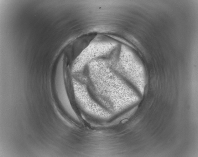 X0000068280530200605121914