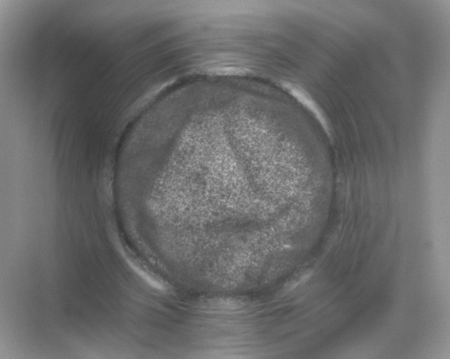 X0000068280533200605121914