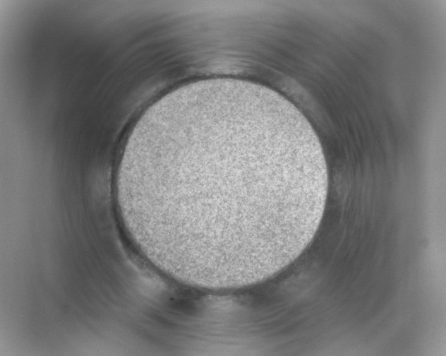 X0000068280534200605121914