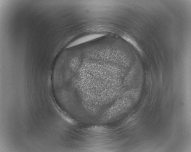 X0000068280537200605121914