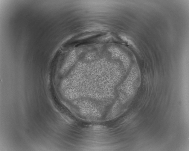 X0000068280539200605121914