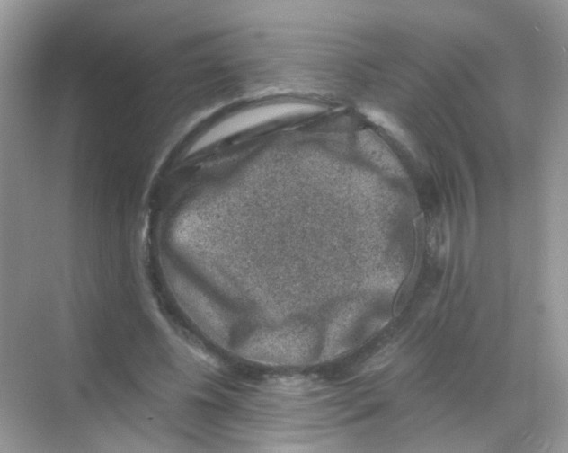 X0000068280540200605121914