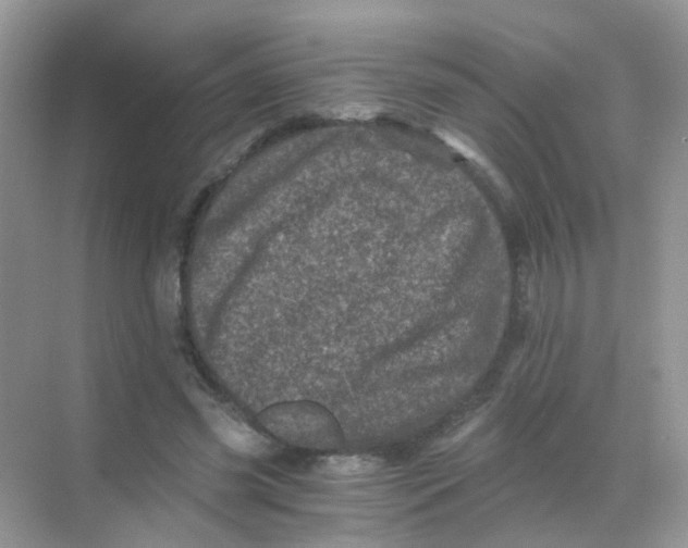 X0000068280541200605121914